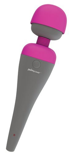 BMS Palm Power Massager