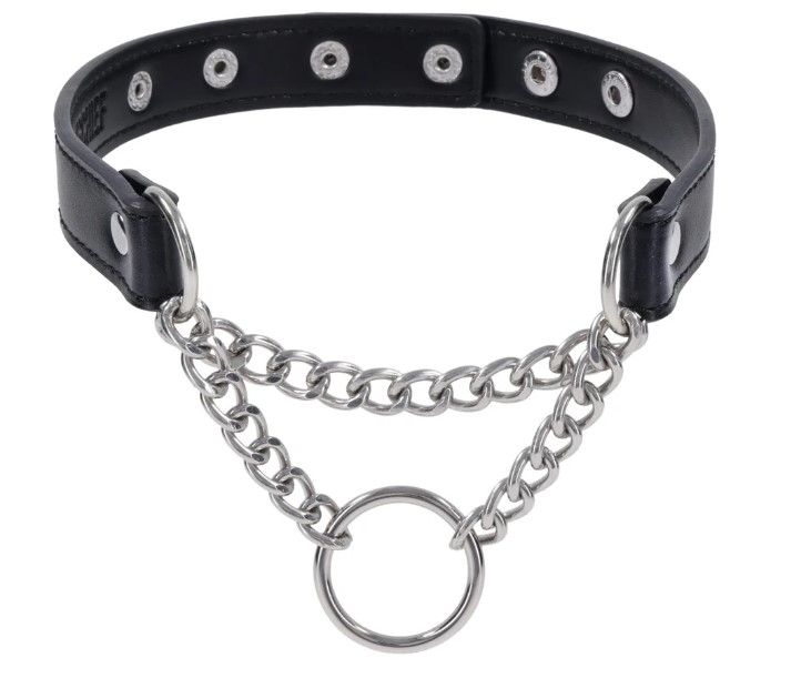 Sportsheets - Shadow Day Collar - Black - Bondage & Fetish Toys