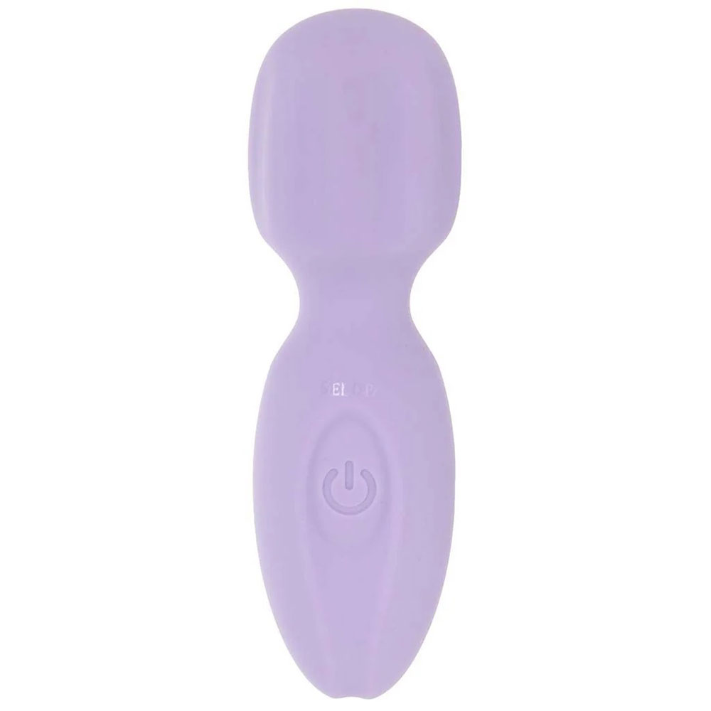 Evolved Novelties - Lil Wand - Purple - Massagers