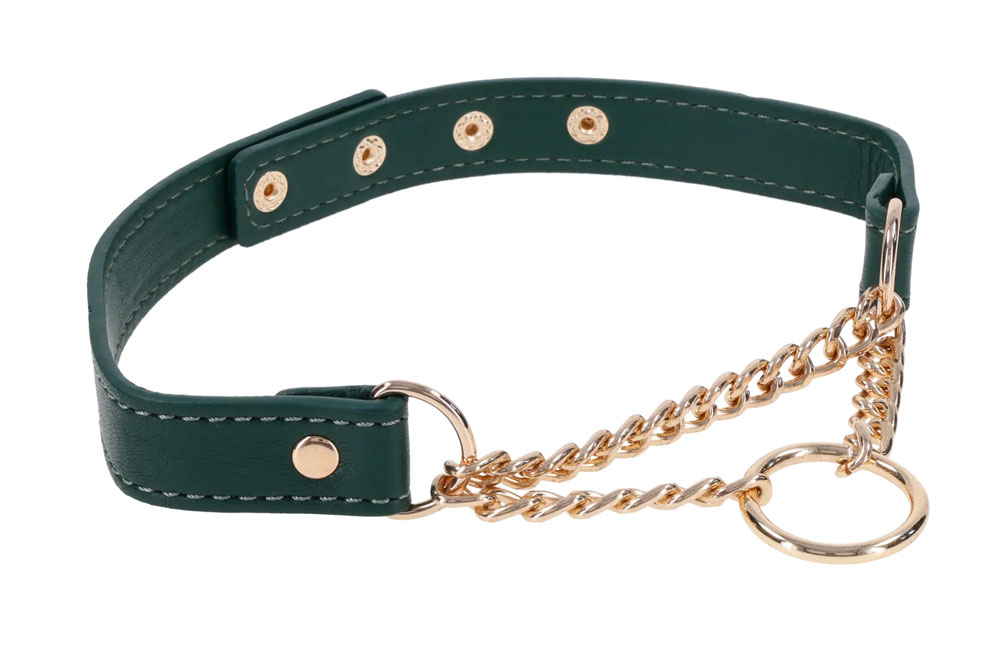 Sportsheets - Indica Day Collar - Green - Bondage & Fetish Toys