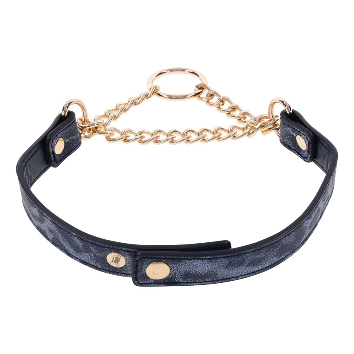 Sportsheets - Cougar Day Collar - Bondage & Fetish Toys