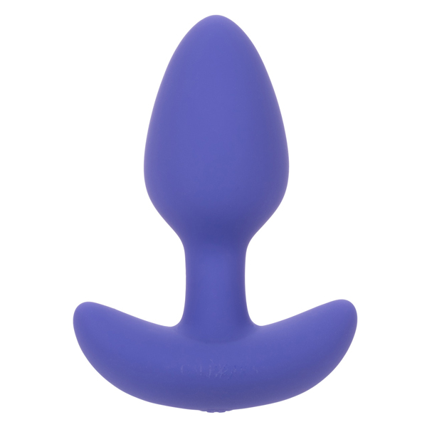 CalExotics - Calexotics Connect Tapered Probe - Purple - Anal Toys & Stimulators